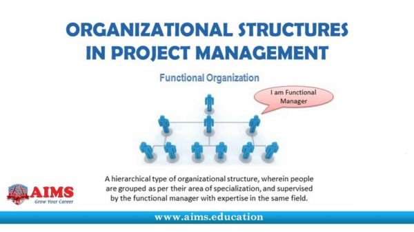 What is Project Management Structure & Organizational Types