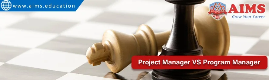 Program Manager vs Project Manager program manager vs project manager