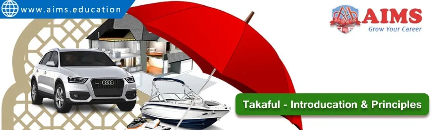 takaful meaning