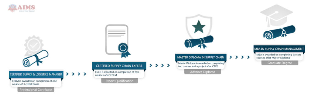 supply chain management programs