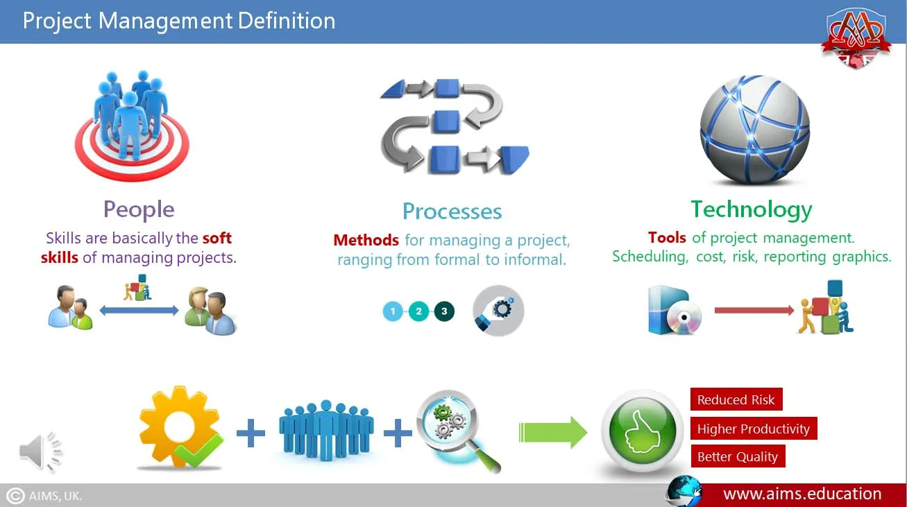 Project Management Definition project management definition