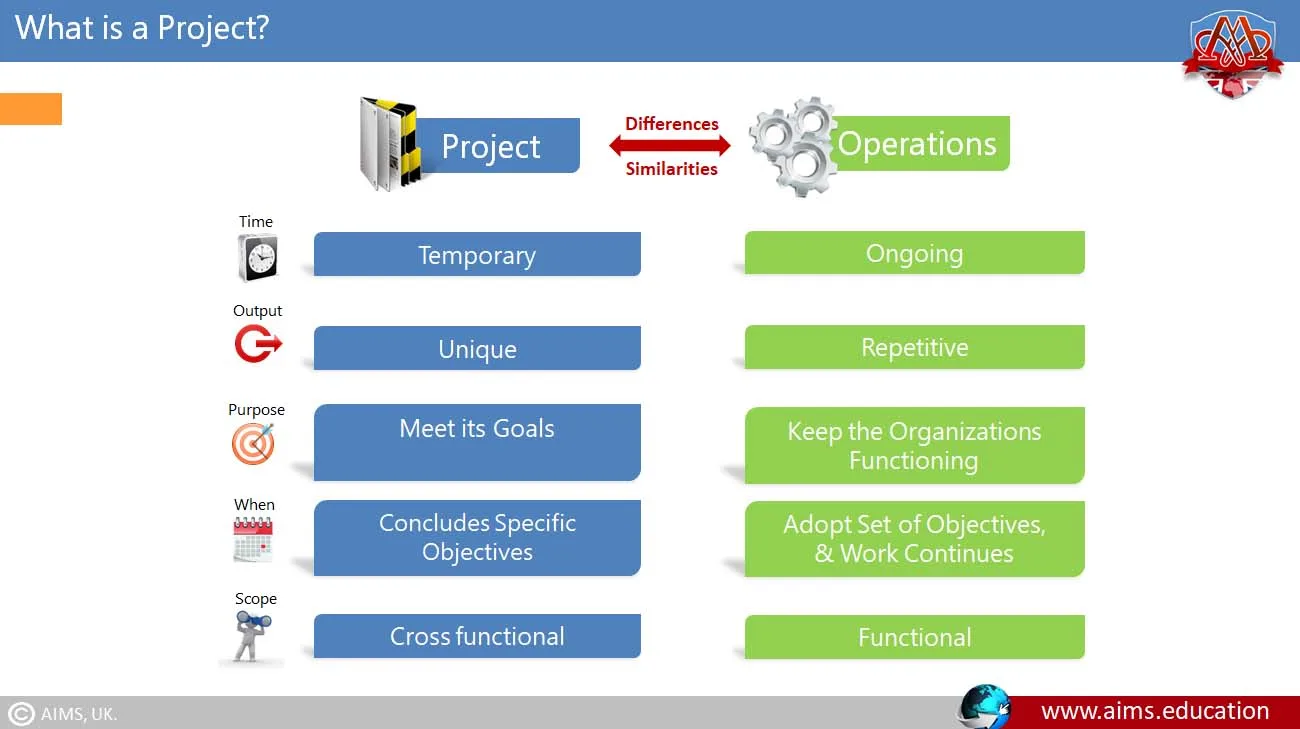 What Is a Project? what is project