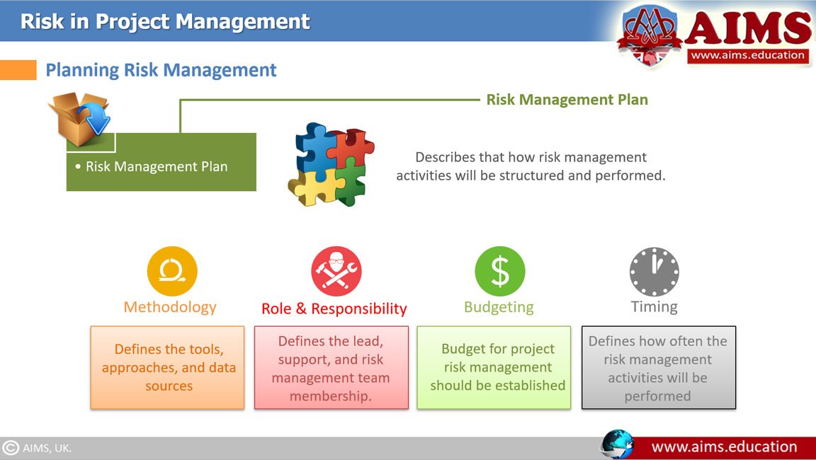 project management risk