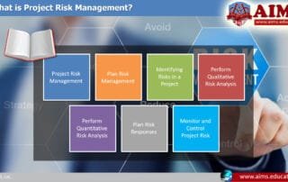 project risk management