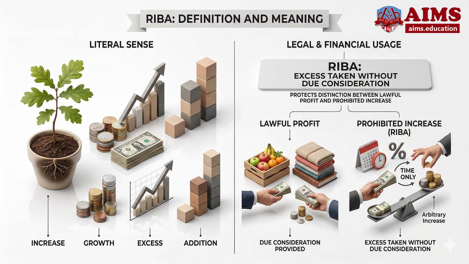 Riba Definition and Meaning: Literal vs. Financial Usage Infographic Diagram illustrating the Riba definition and meaning, contrasting literal growth with financial prohibition.